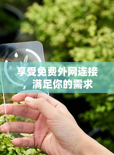 享受免费外网连接,满足你的需求 享受免费外网连接,满足你的需求