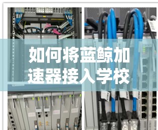 如何将蓝鲸加速器接入学校网络（上外网）